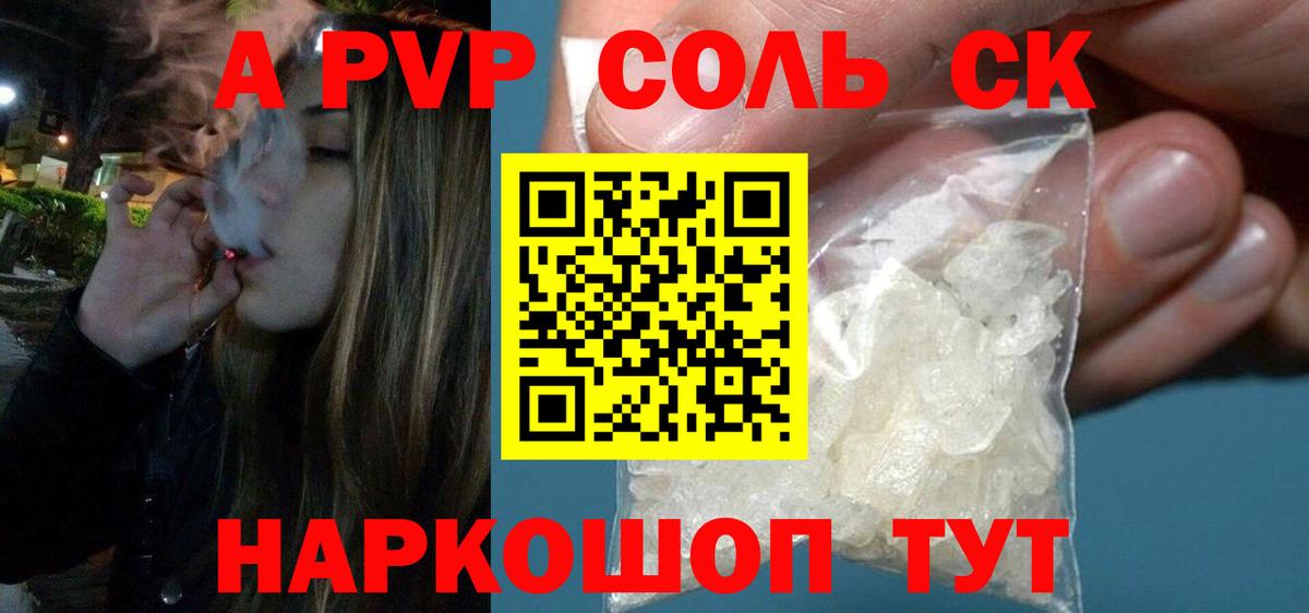 Альфа ПВП СК Грозный