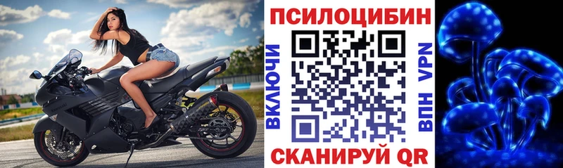 Псилоцибиновые грибы Magic Shrooms  кракен как зайти  Грозный 
