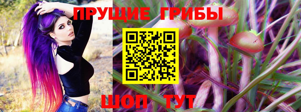 Грозный  Галлюциногенные грибы Cubensis  Псилоцибиновые грибы Psilocybine cubensis  Вход с VPN 