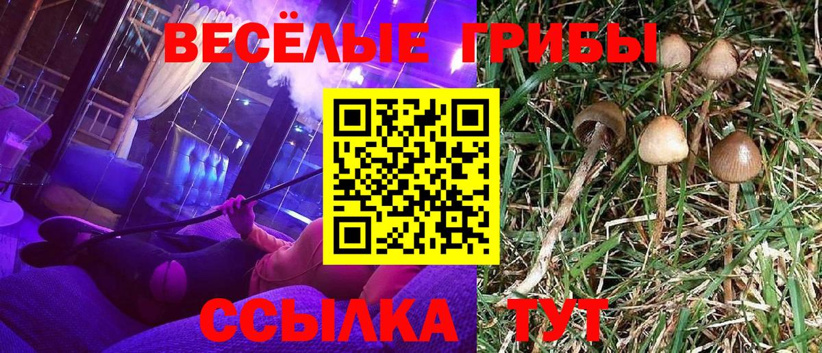 Галлюциногенные грибы мухоморы Грозный