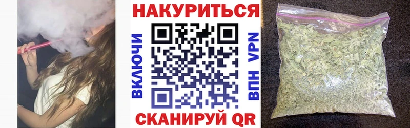 Бошки марихуана планчик  купить наркотики сайты  Грозный 